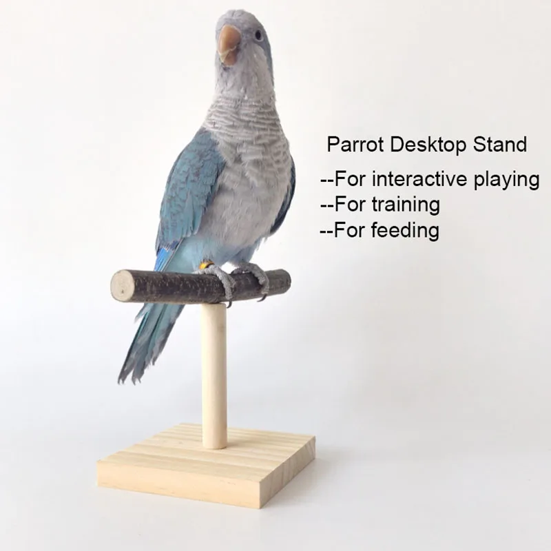 حامل سطح المكتب الطبيعي الحيوا - مراجعة Desk Setup Wood وسعره
